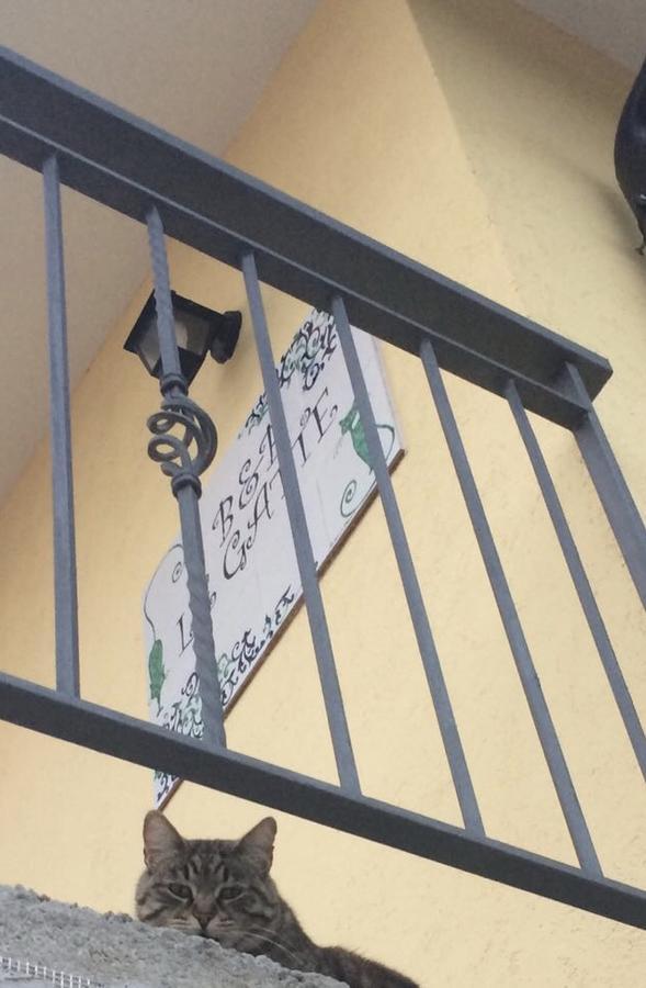Bed and Breakfast Le Gatte Эболи Экстерьер фото